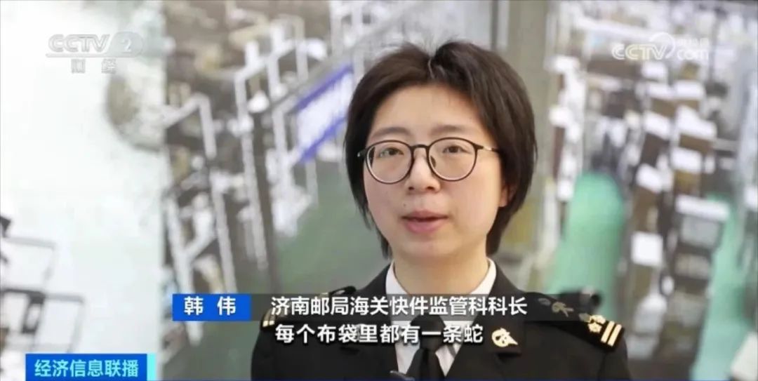 非法入境的该怎么处理,非法入境该怎么处理