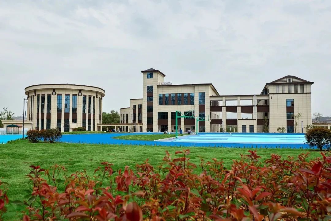 永康小学学位政策,永康2024小学入学人数剩余名额