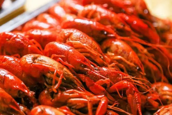 拒绝“特种兵”旅游内卷五一来湘潭“FUN”肆嗨