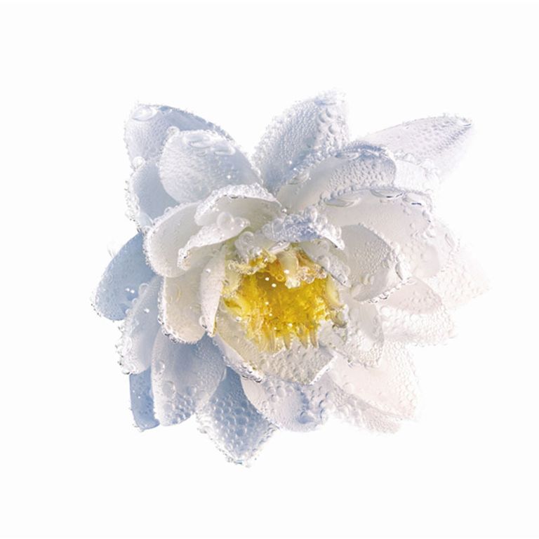 迪奥睡莲眼唇卸妆,迪奥净肤轻柔卸妆水