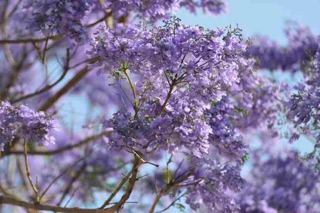 昆明的风景真的是美极了,感受云南昆明一道美丽的风景线