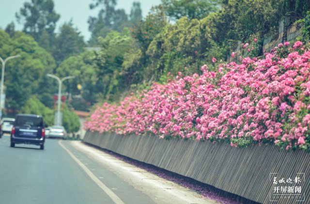 昆明的风景真的是美极了,感受云南昆明一道美丽的风景线