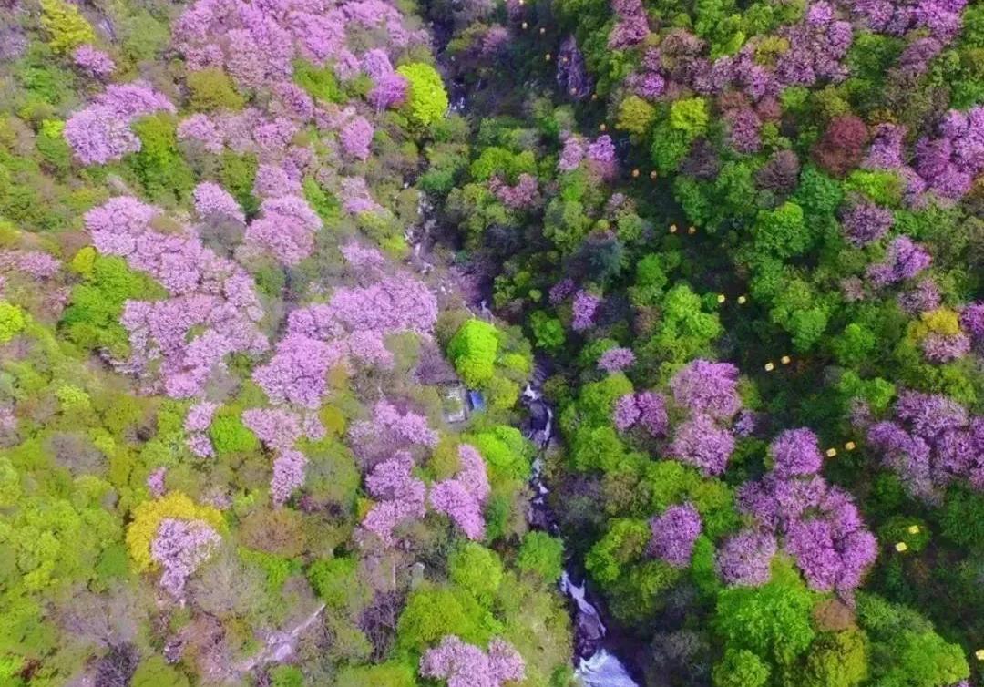 北京到西安秦始皇陵兵马俑攻略,秦始皇兵马俑景区直通车在哪坐