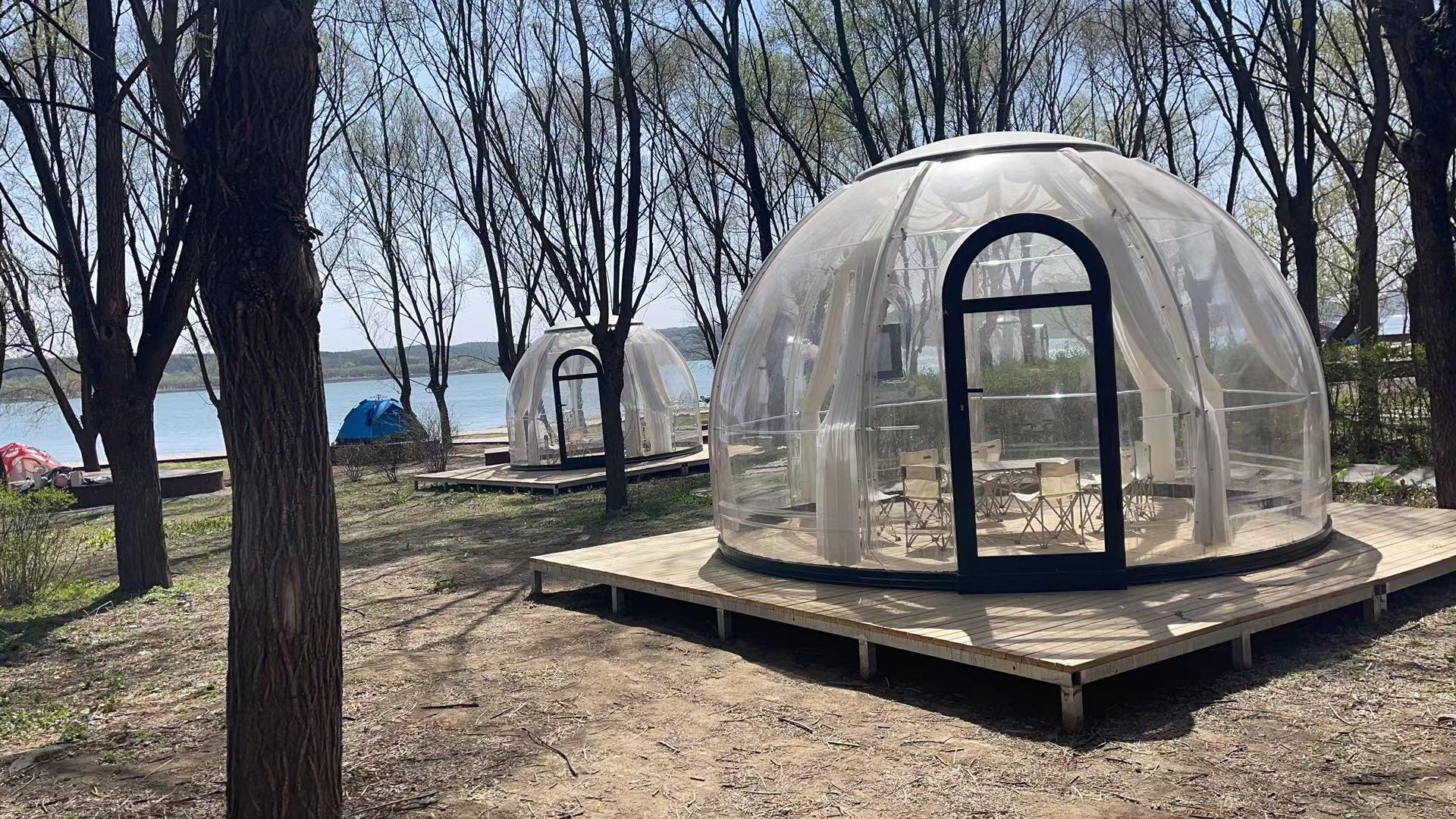 春天花正开沈阳正当时,春天花正开沈阳