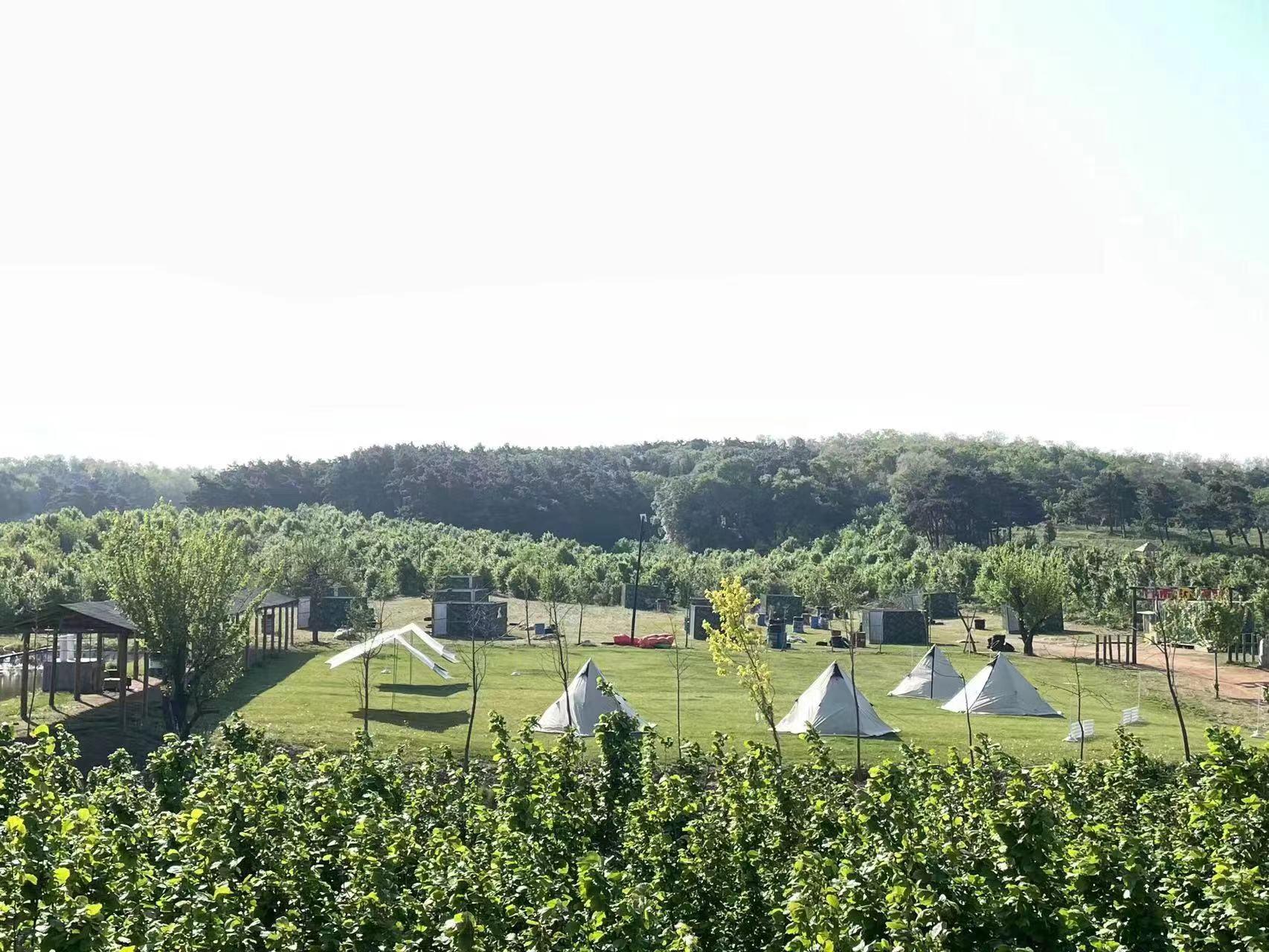 春天花正开沈阳正当时,春天花正开沈阳