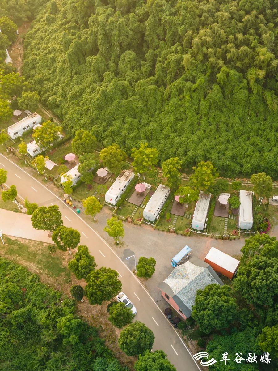 骑车打卡绿道,东湖绿道骑行享受闲暇时光