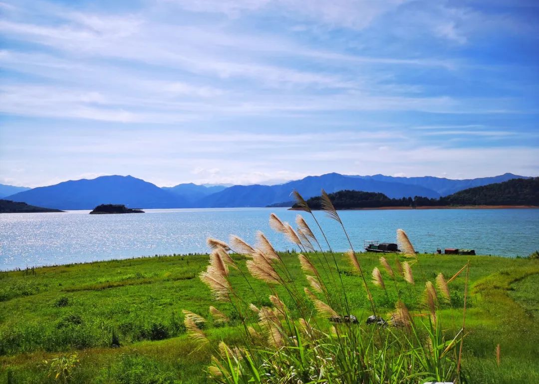 郴州去景点用什么交通,郴州的哪些景点交通方便