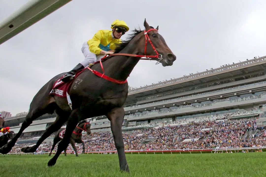 6月4日，香港将迎本季首个黄昏赛马日！