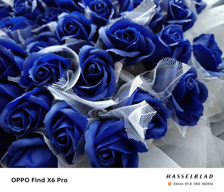 小米13ultra和oppofindx6pro拍照谁更强,oppofindx6pro对比小米13ultra人像拍照