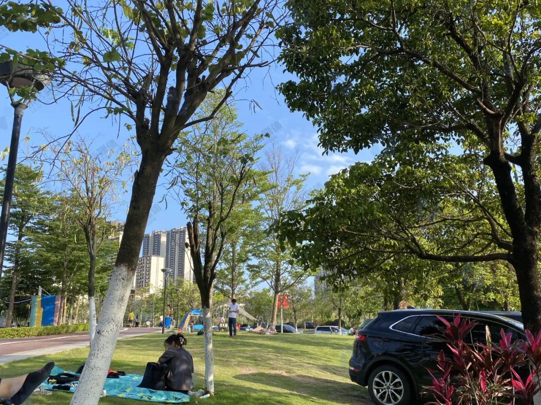 广州自己带帐篷露营的景点,广州适合搭帐篷露营的地方