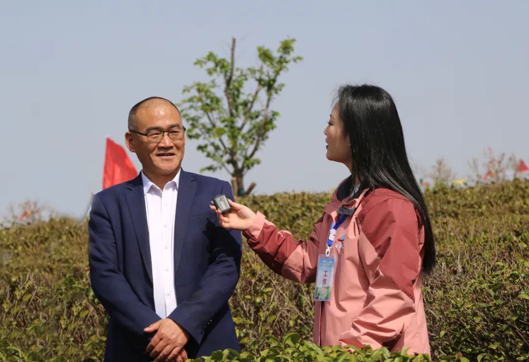 柏塘万亩茶园网红打卡地,孝昌县最好的茶园