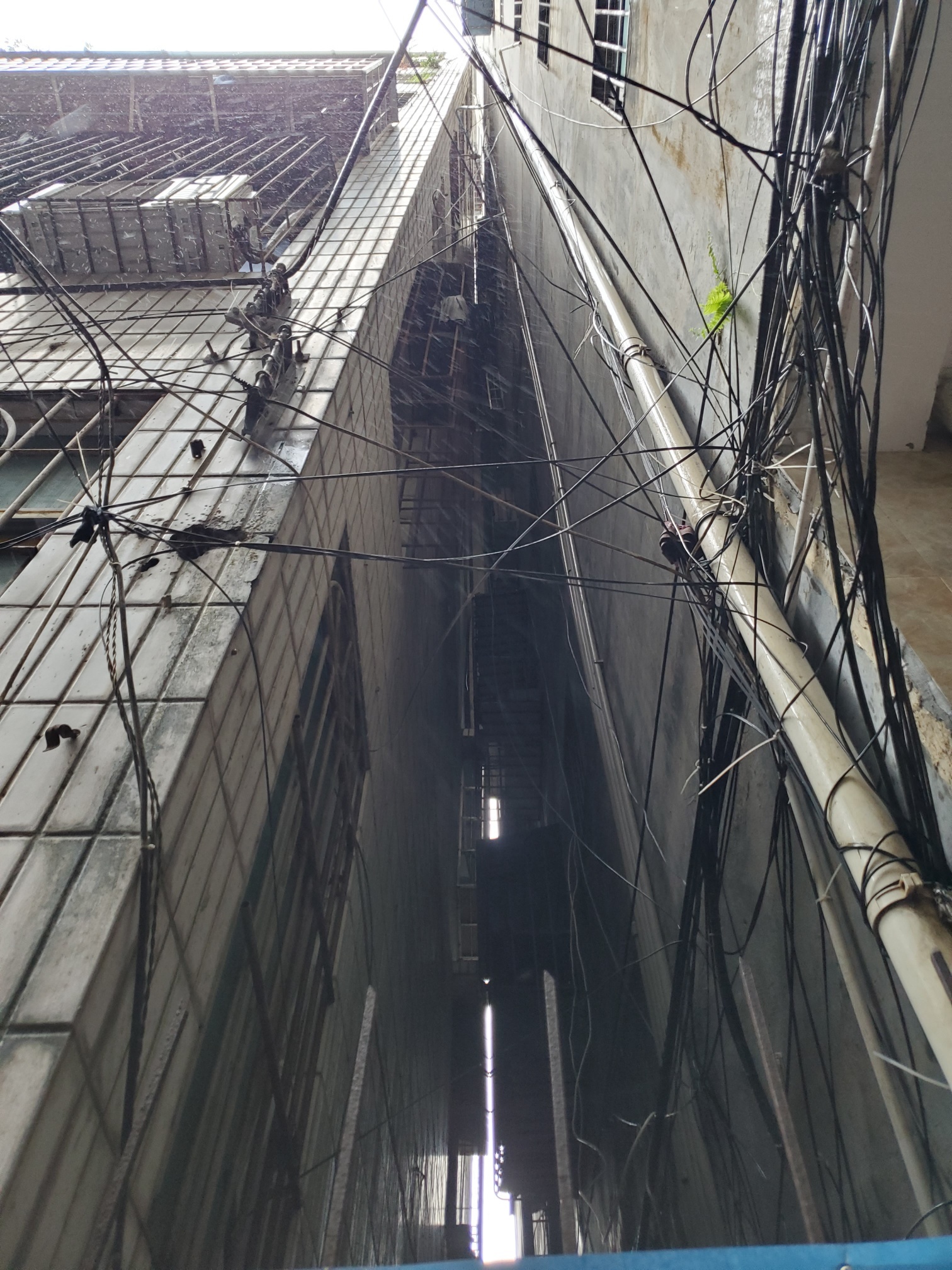 海口危楼,海口重建危楼