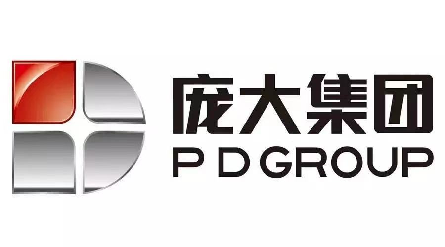 庞大汽贸集团退市走向,汽车经销商第一股