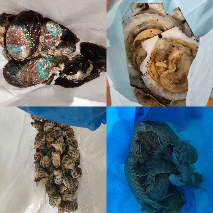 你买海鲜有没有被坑过,海鲜市场为什么买鱼带水称