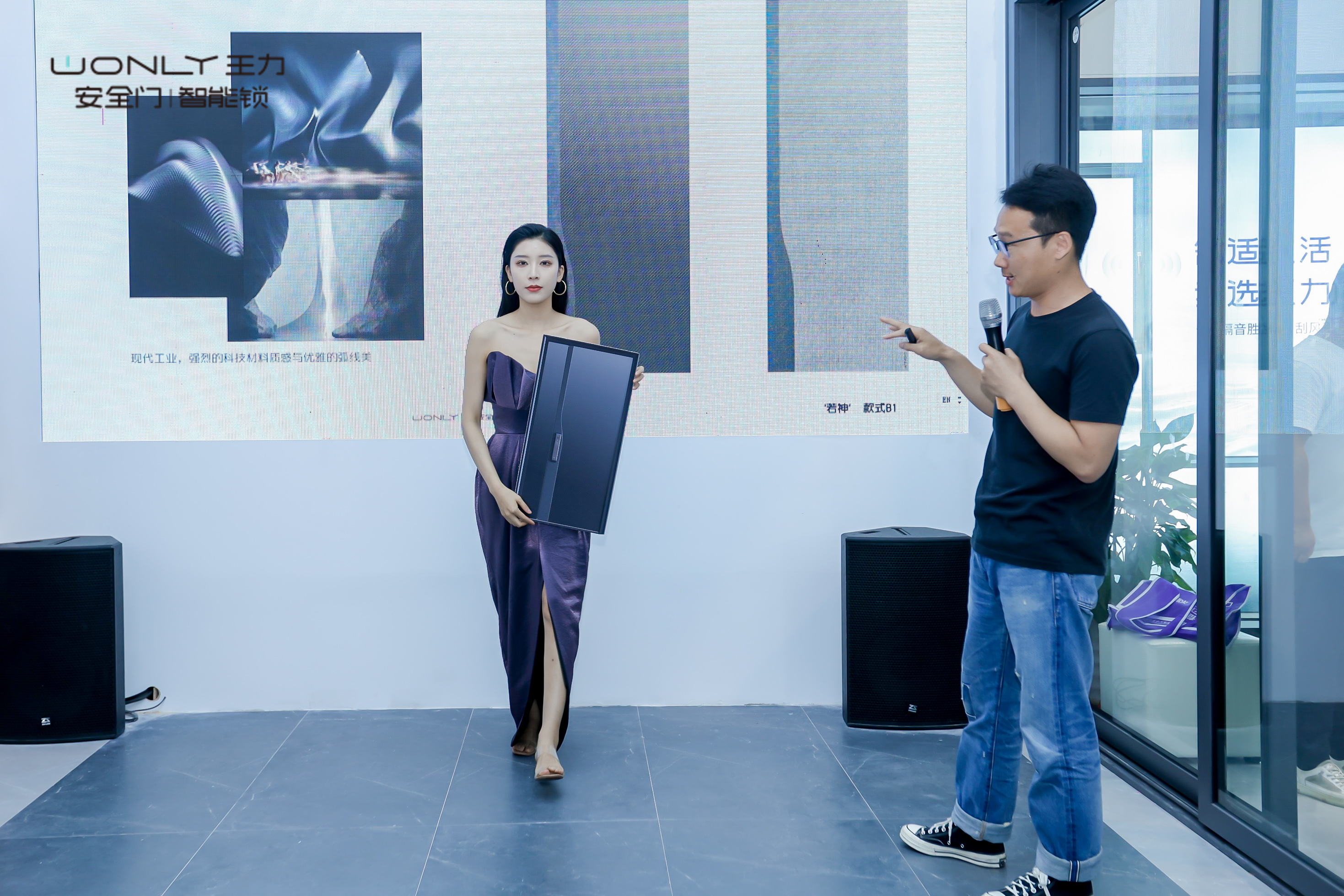 王力大师系列洛神,王力防盗门大师款