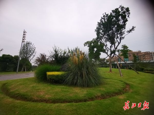 武汉花园打造,武汉花园景观设计施工