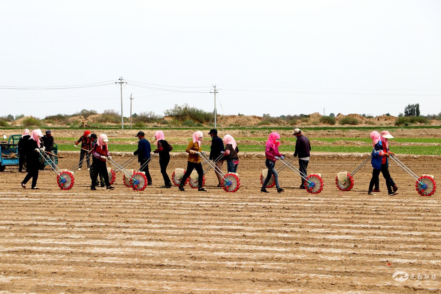 民勤红沙梁镇介绍,民勤红沙梁发展情况
