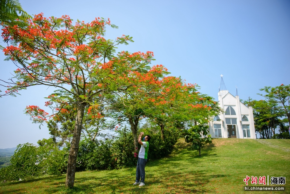 屯昌梦幻香山公园,屯昌梦幻香山文化园