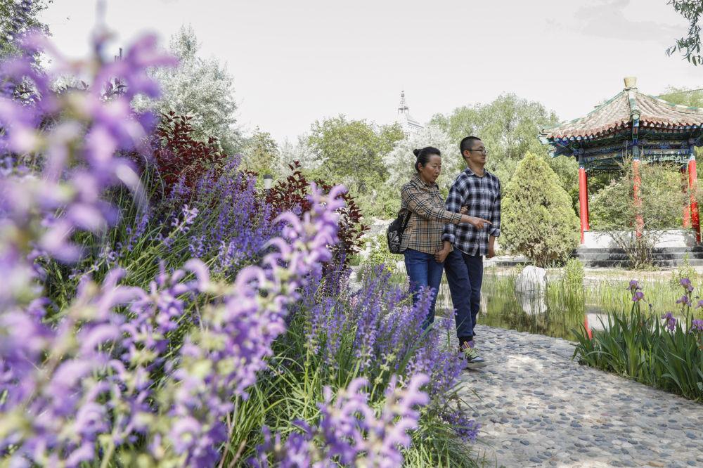 在摇晃的生活里“拄”梦前行——31岁脑瘫“博士”的求学路