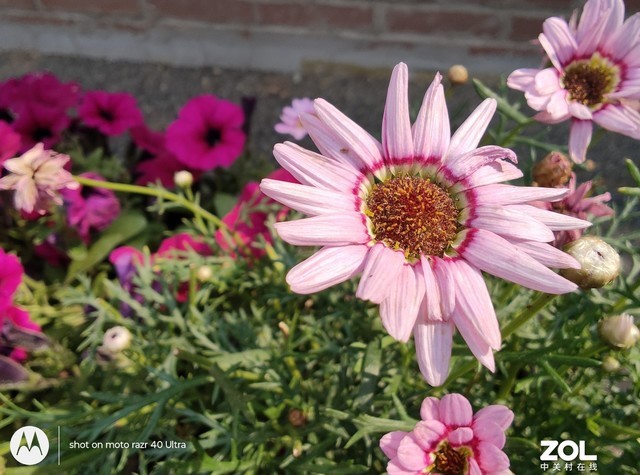 motorazr40ultra折叠屏测试,motorazr40ultra评测