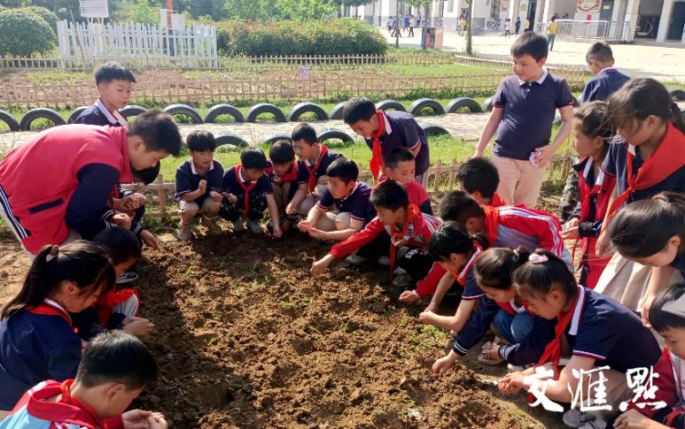 这个六一充满了惊喜,这个六一