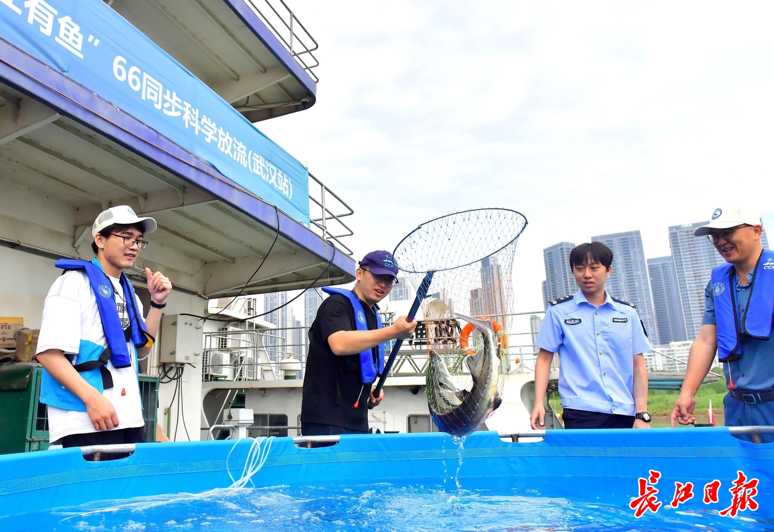 5万余尾珍稀特有鱼类放流金沙江,长江五城首次同步放流珍稀江鱼