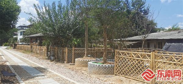 三明农村青年创业,三明市农村创业项目