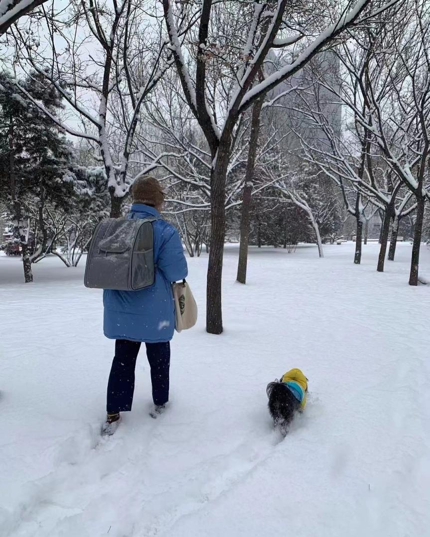 香江来信完整版视频,香江来信所有视频