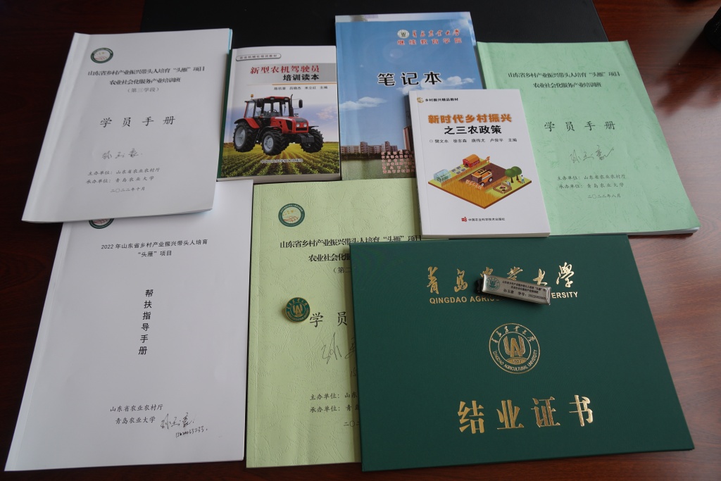 新闻周刊丨大学归来，扎根田间，争当头雁！返乡高管土专家，镀金升级新农人