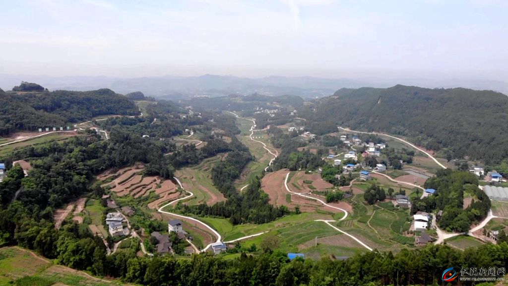 党建引领乡村特色产业发展,党建带动贫困户增收六千多元