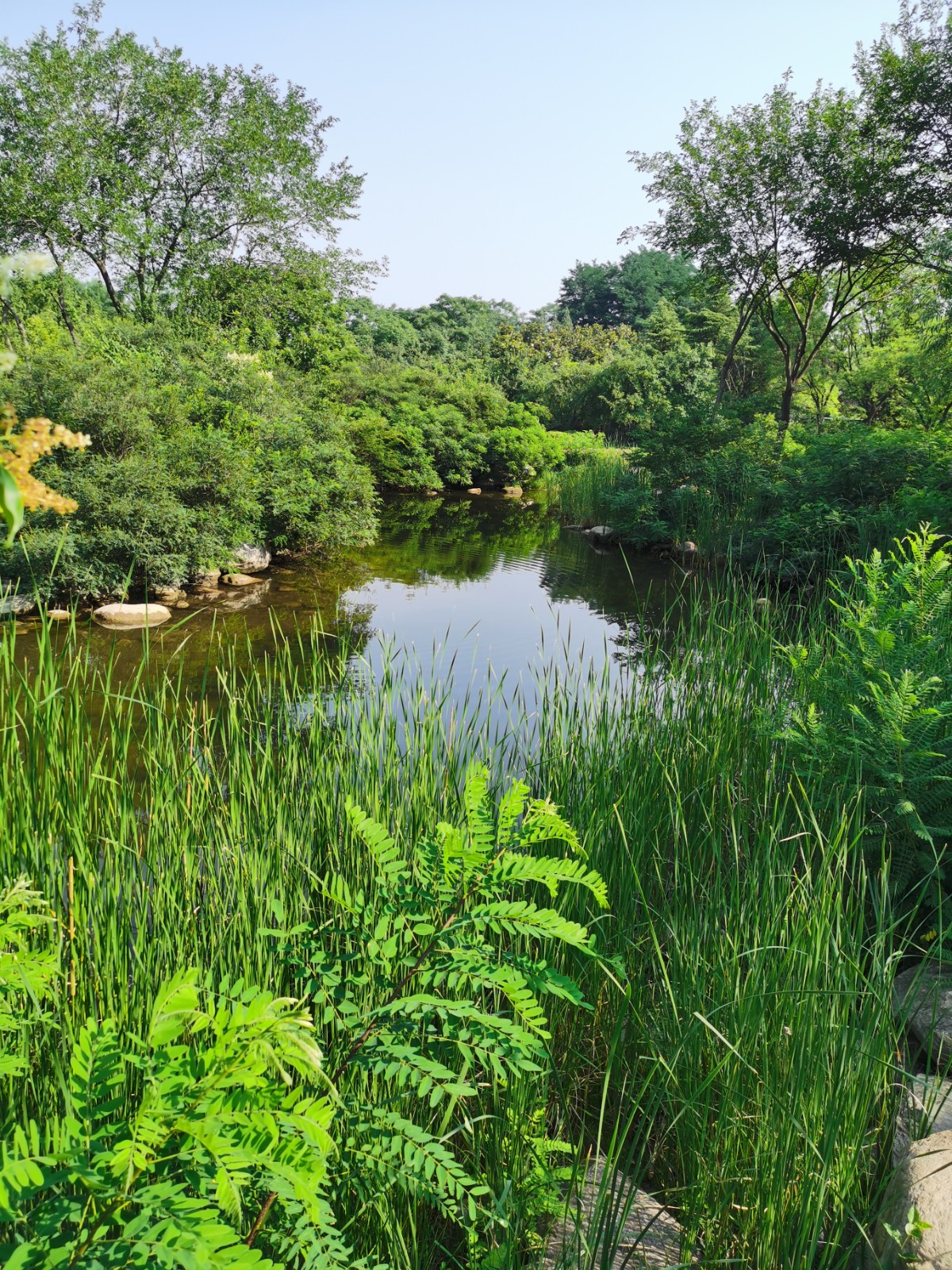 你还没有来过郑州之林?这座空气清新负氧离子爆棚的城市公园值得你来美景打卡