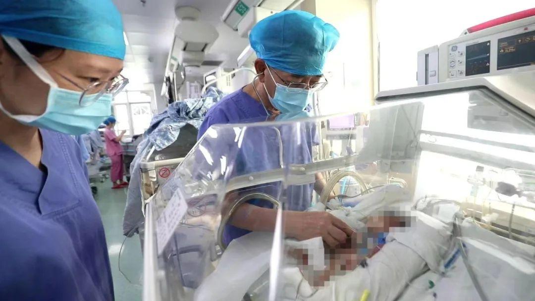 胎停一周救活了,胎龄不满28周超早产儿获救