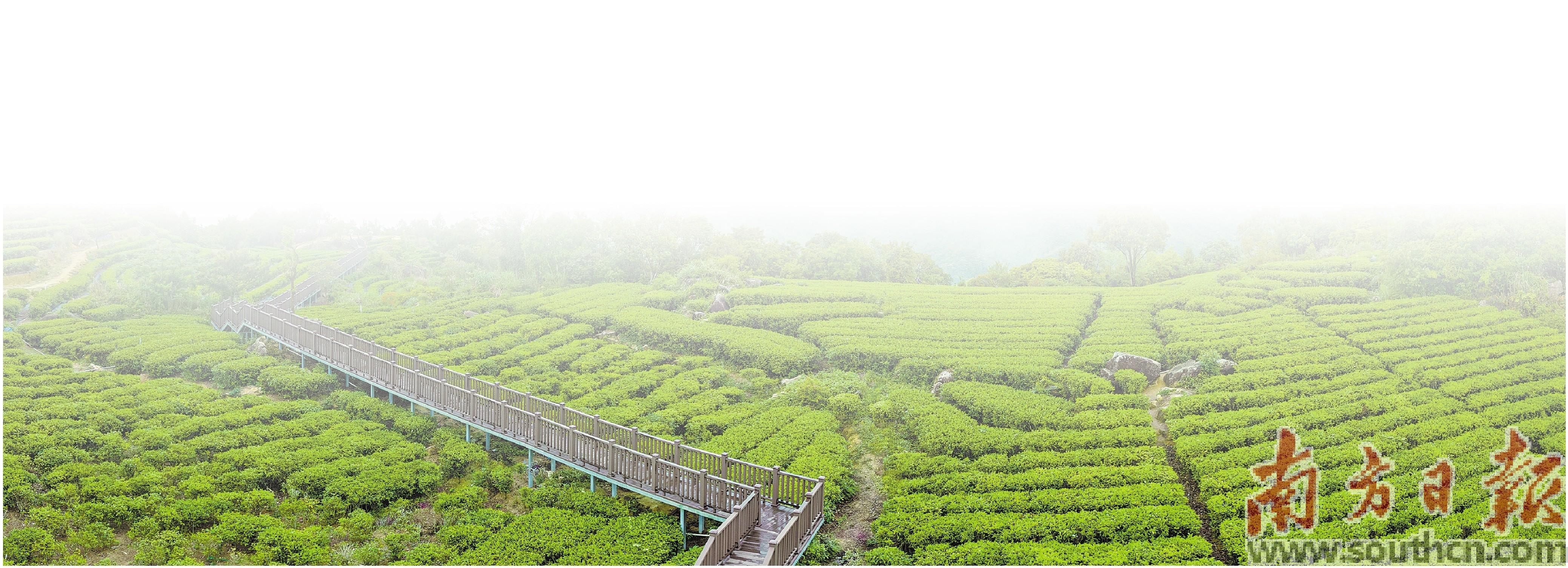 一场跨越山河大海的旅行,一场跨越太平洋的旅游