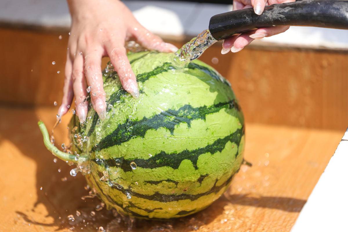 华容区*团蒲**乡，瓜瓜甜到冒泡