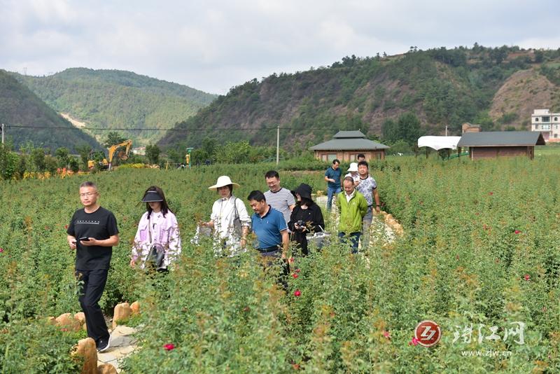 乡村振兴精准找项目,到村调研乡村振兴产业项目