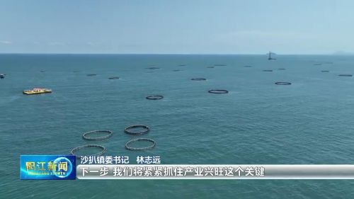 镇村书记谈百千万丨沙扒：以实施“百千万工程”为契机谱写中心镇高质量发展新篇章