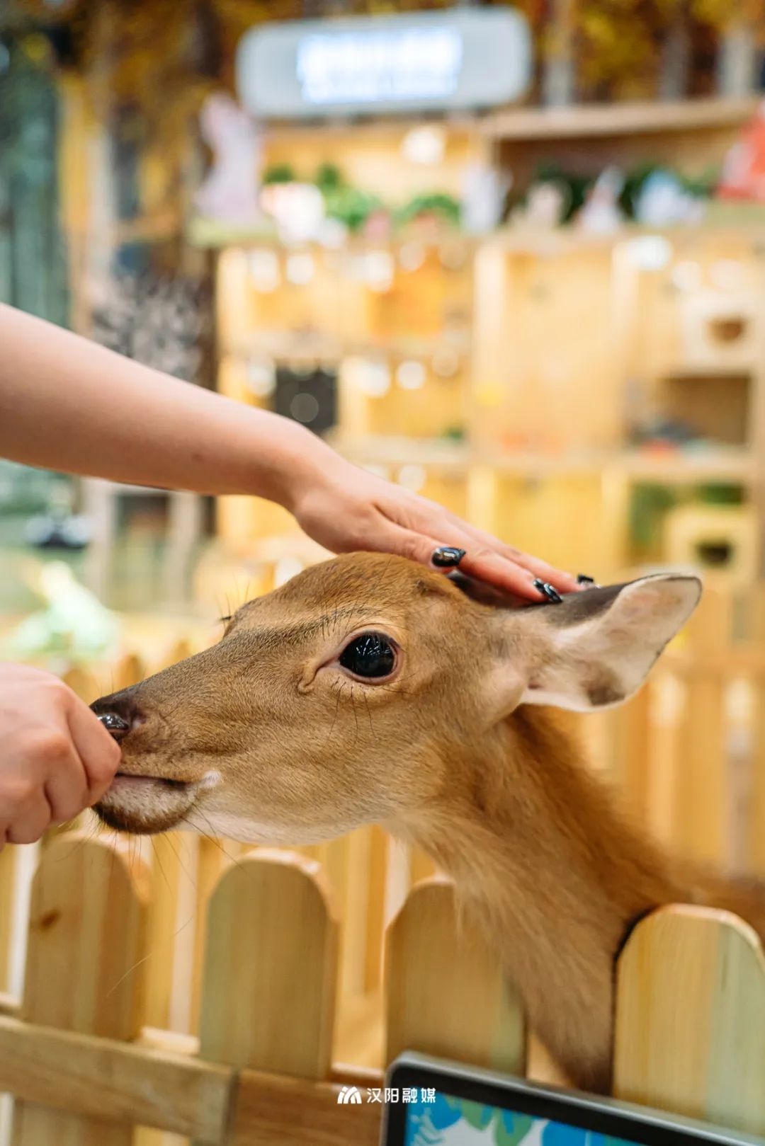 汉阳江滩儿童乐园和亲子乐园,汉阳十大免费儿童游乐园