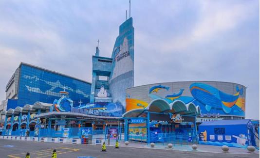 青岛夏令营活动海上,青岛夏令营游学