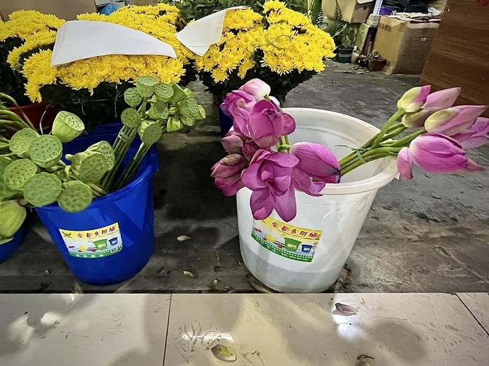 济南人的“夏日专属浪漫”!淡雅荷花手捧花走俏市场