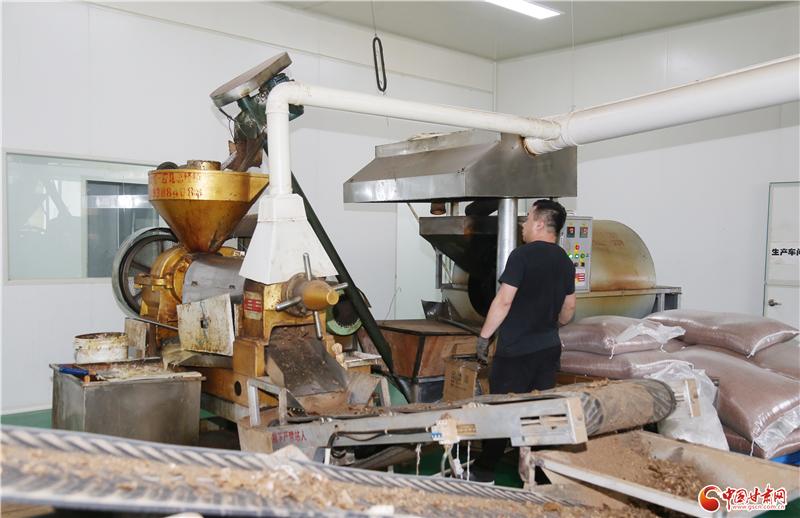 打造秦州“陇优奇”带动村民走上致富路