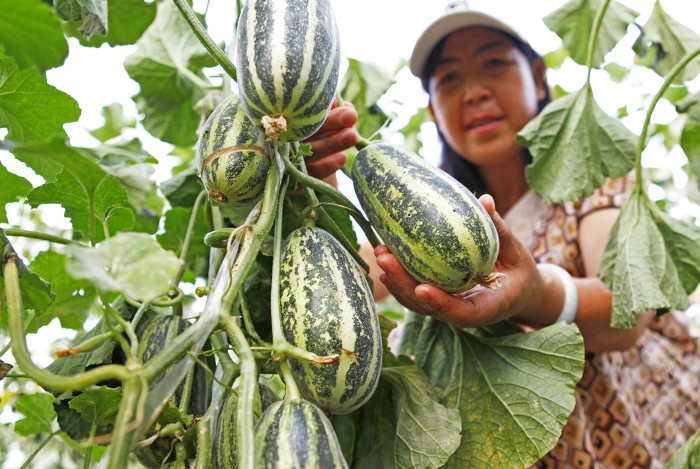 阳城县河道治理工程,阳城县后河巷河道治理