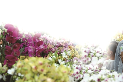 创意市集温暖,最有活力的市集