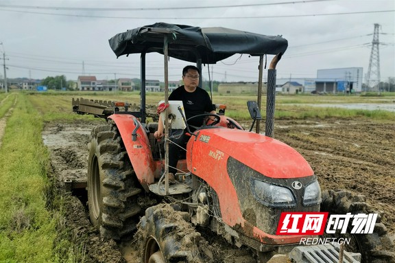 本乡人外乡人都是田间“创业人”