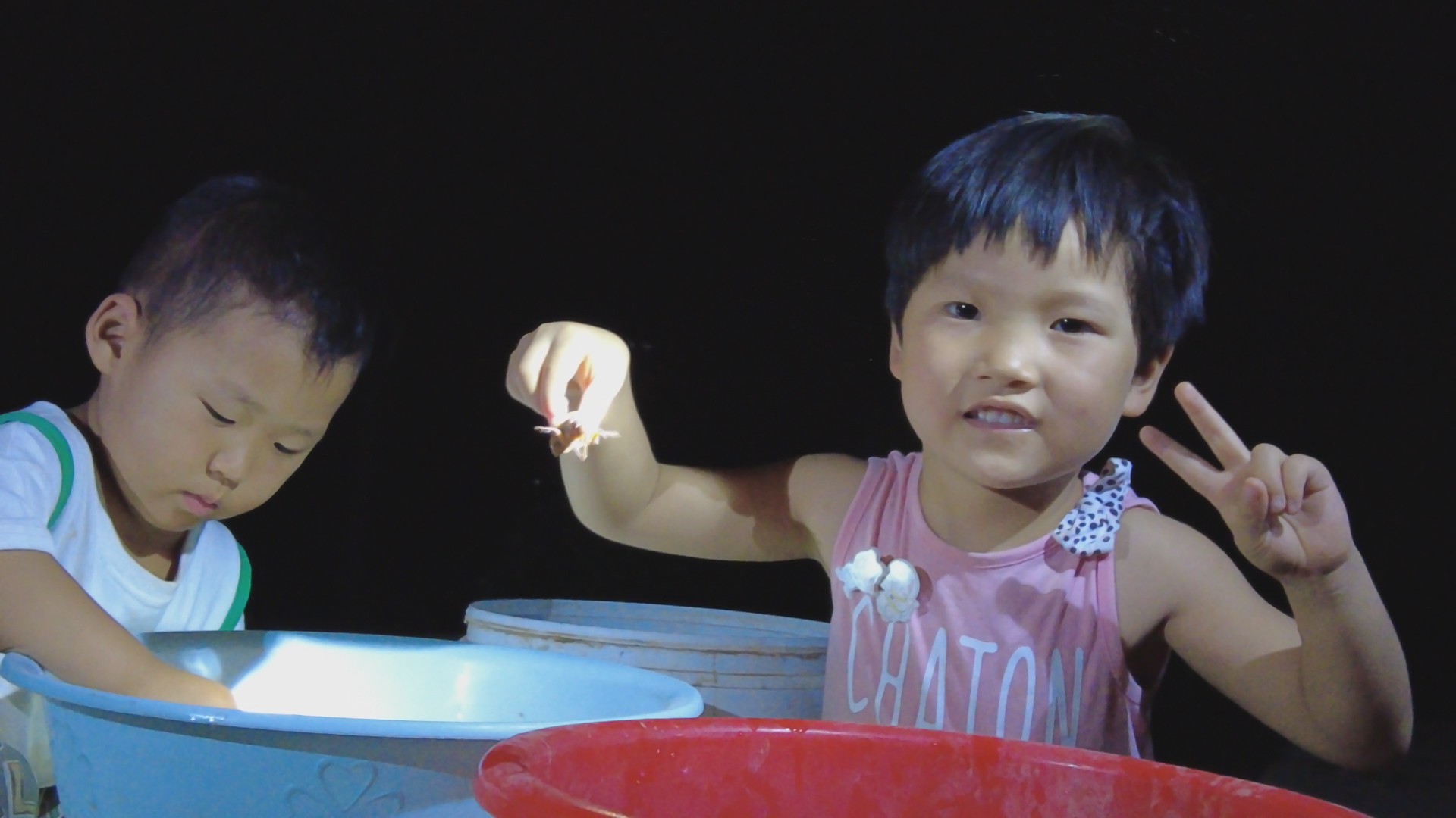 养殖金蝉一亩地投资多少钱合适,扶沟亚伟金蝉养殖基地