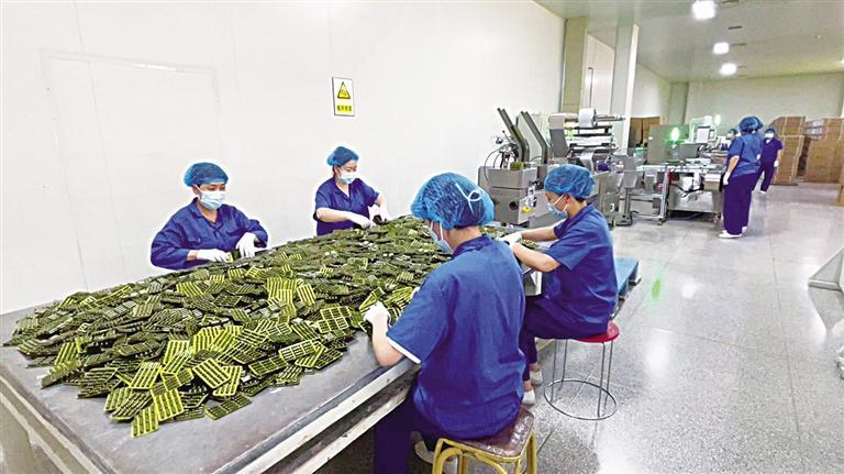 “唐龙”好药兰州制造——太宝制药精耕细作打响中成药本地品牌