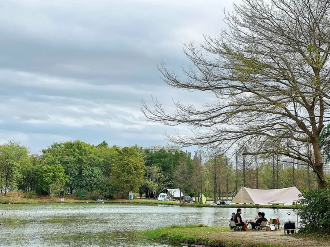 东莞暑期旅游推荐,东莞半日游最佳景点