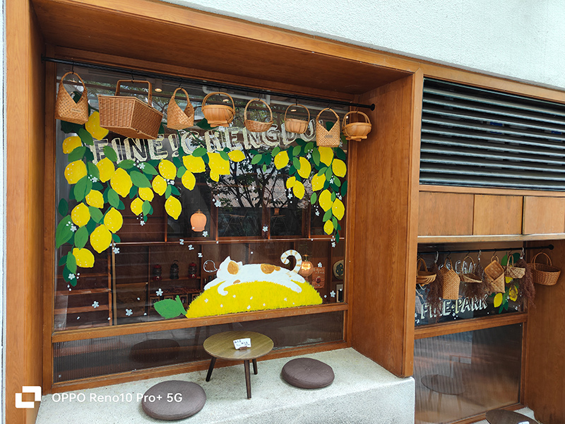 夏季成都短期旅游推荐,重庆和成都夏季旅游哪个更适合