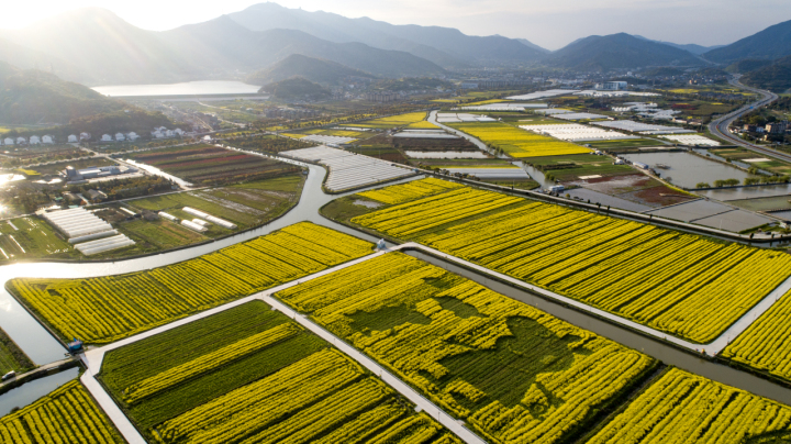 舟山农业补贴政策,舟山农业高质量发展大会