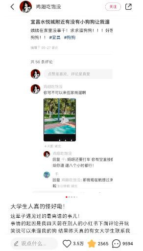 “代遛狗”成了香饽饽，有狗狗档期排到了7月中旬