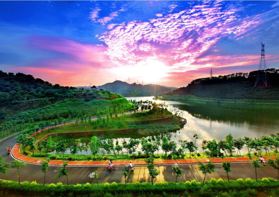 不止“村BA”！东莞10条好看好逛的线路，本地人也爱去